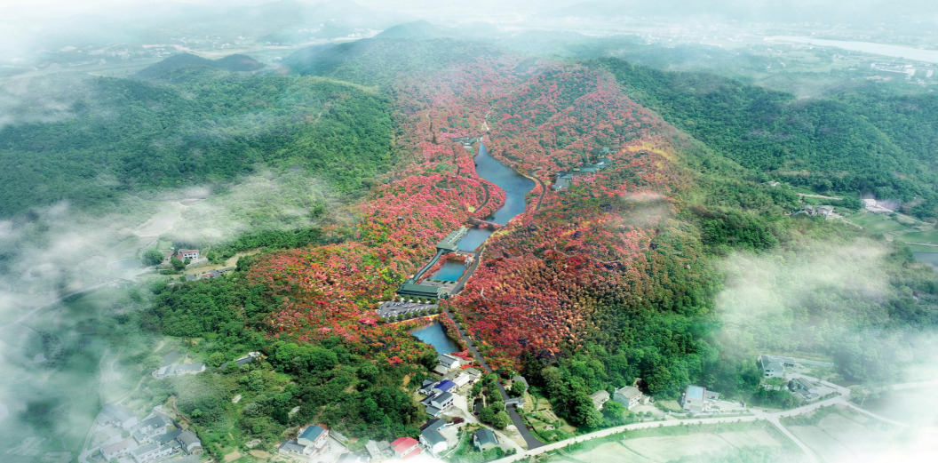 微信截图_20200921082719.png